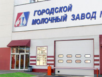 Промышленные ворота